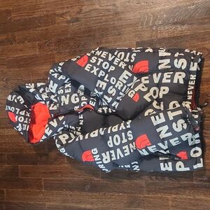 Good condition Big Kids' Northface reversible 550 down coat